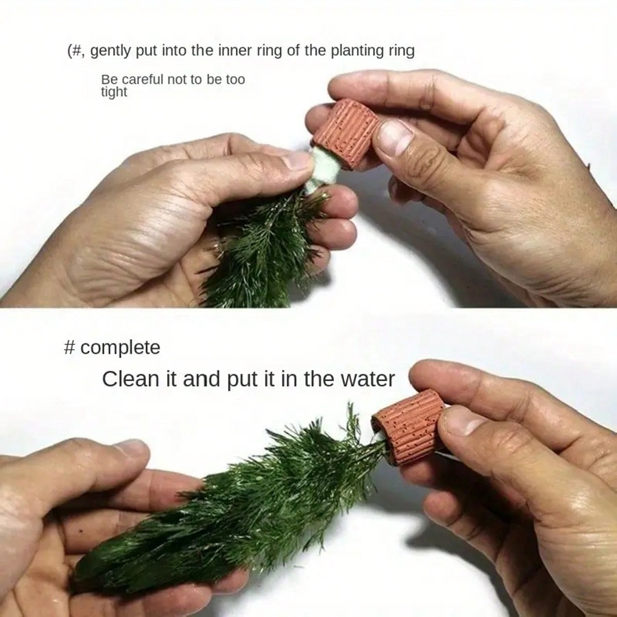 High   Quality Aquarium Plant  - Planted Aquarium Aquascape review and price