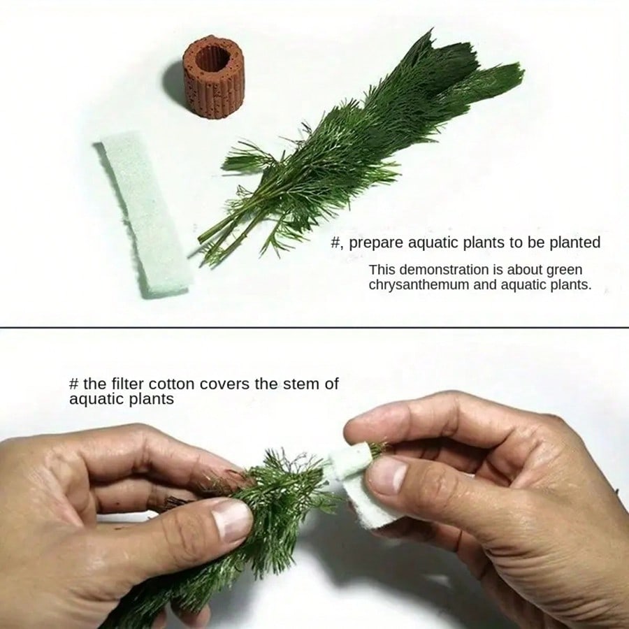 High   Quality Aquarium Plant  - Planted Aquarium Aquascape review and price
