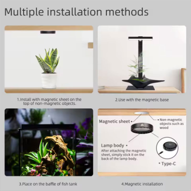 WEEK AQUA Mag Pro Mag Max Nano - Planted Aquarium Products review and price