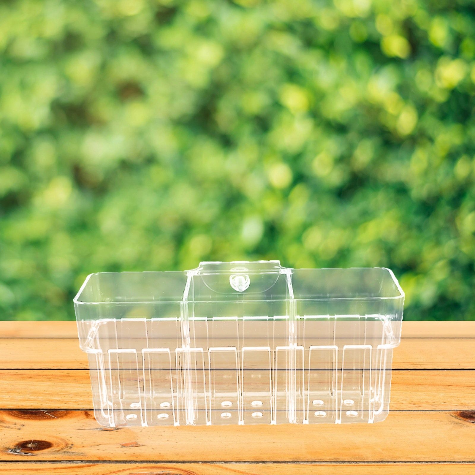 Clear Three Compartment Hydrop - Aquarium Planted Wall review and price