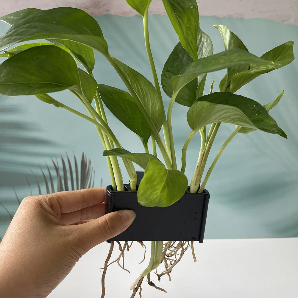 Aquarium Plant Holder with Han - Aquarium Planted Tank Substrate review and price