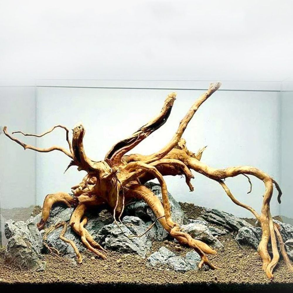 Natural Tree Trunk Aquarium De - Planted Aquarium Media review and price