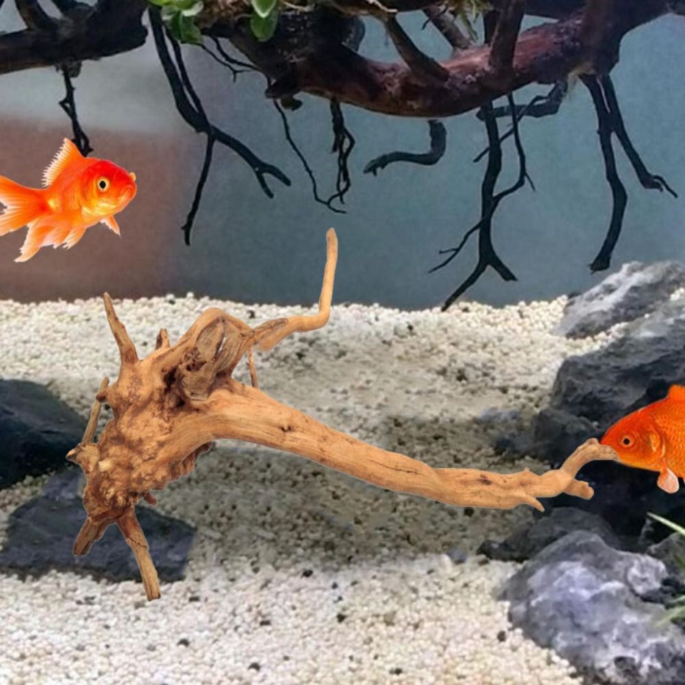 Natural Tree Trunk Aquarium De - Planted Aquarium Media review and price