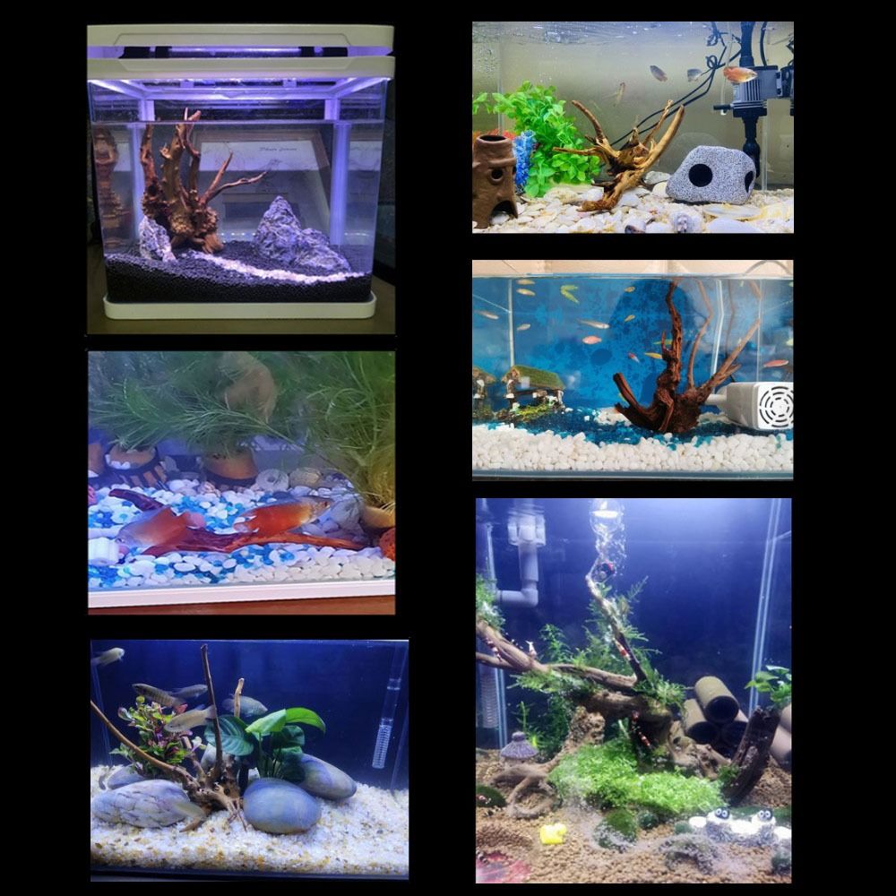 Natural Tree Trunk Aquarium De - Planted Aquarium Media review and price