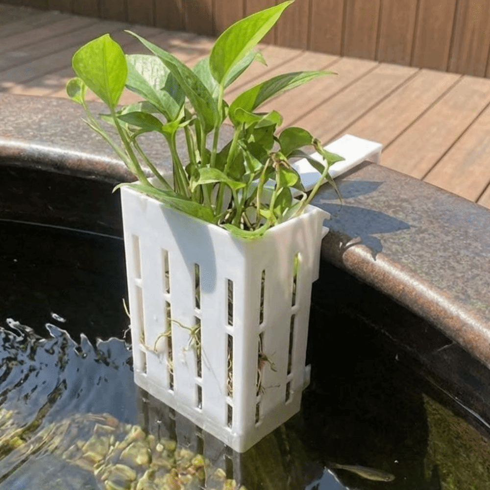 Wall-Mounted Aquarium Plant Ba - Aquarium Planted Wall review and price