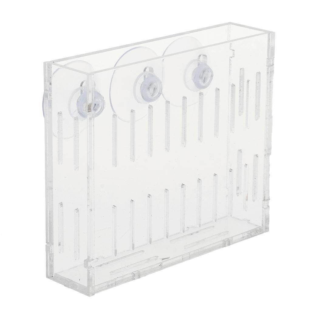 Aquatic Plants Holder Acrylic  - Aquarium Planted Wall review and price