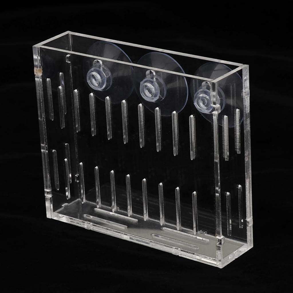 Aquatic Plants Holder Acrylic  - Aquarium Planted Wall review and price