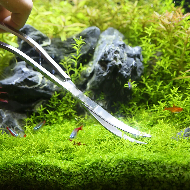 Aquarium Scissor Tools Fish Ta - Aquarium Plant Holder review and price