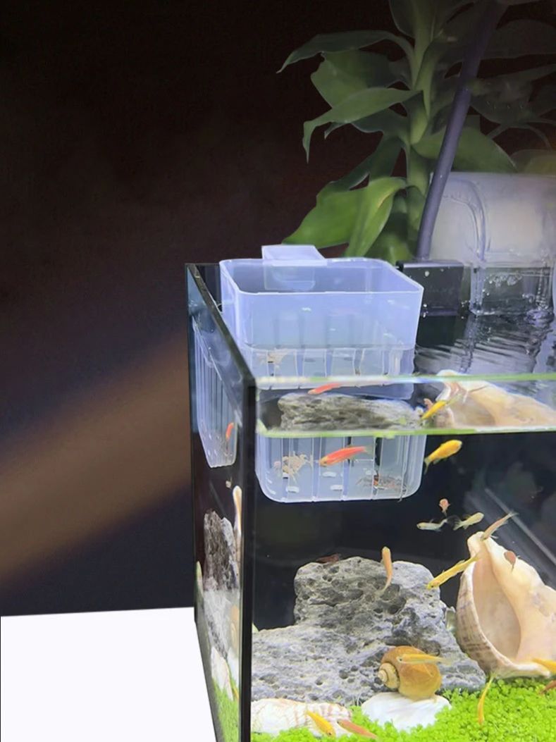 Aquarium Transparent Hydroponi - Aquarium Planted Wall review and price