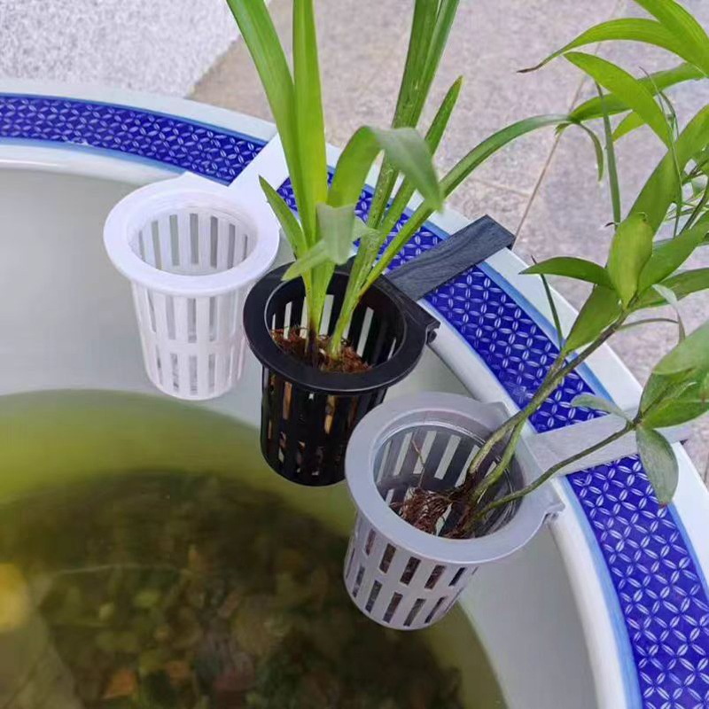 1/3Pcs Aquarium Plant Basket W - Aquarium Planted Wall review and price