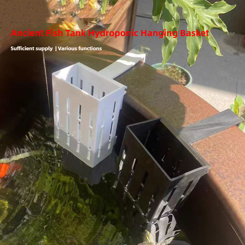 1/3Pcs Aquarium Plant Basket W - Aquarium Planted Wall review and price