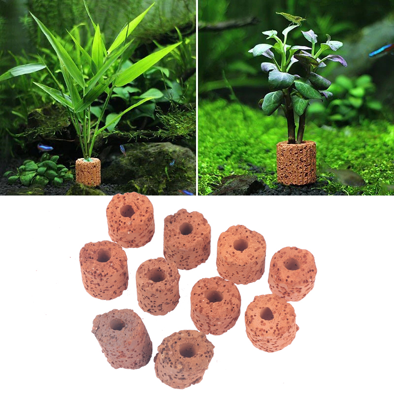 ^10Pcs Plant Ring Aquarium Fix - Planted Aquarium Media review and price