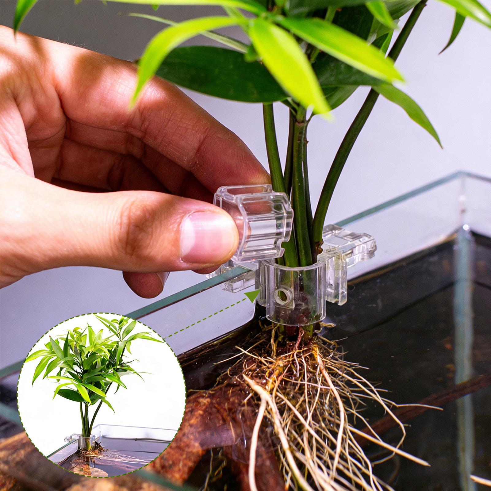 Fish Tank Plant Holder 6 Piece - Aquarium Plant Holder review and price