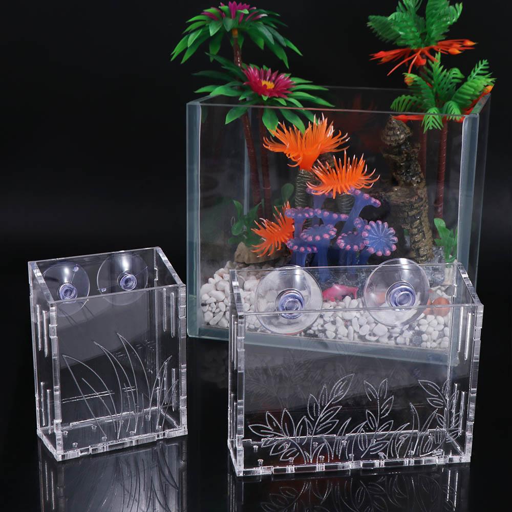 Wall Hanging Aquarium Plants C - Aquarium Planted Wall review and price