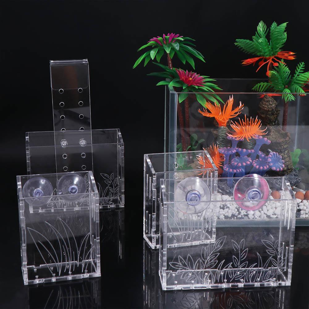 Wall Hanging Aquarium Plants C - Aquarium Planted Wall review and price