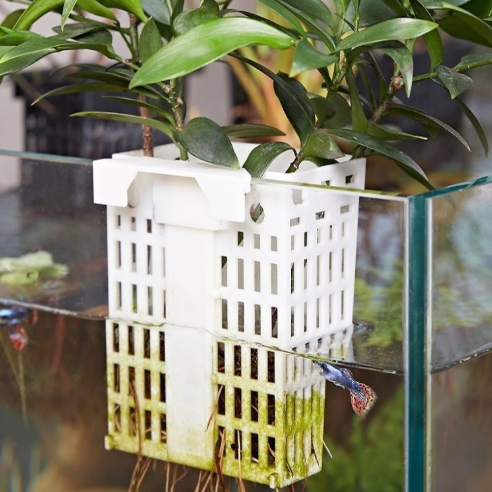 Wall Hanging Aquatic Plant Hol - Aquarium Planted Wall review and price