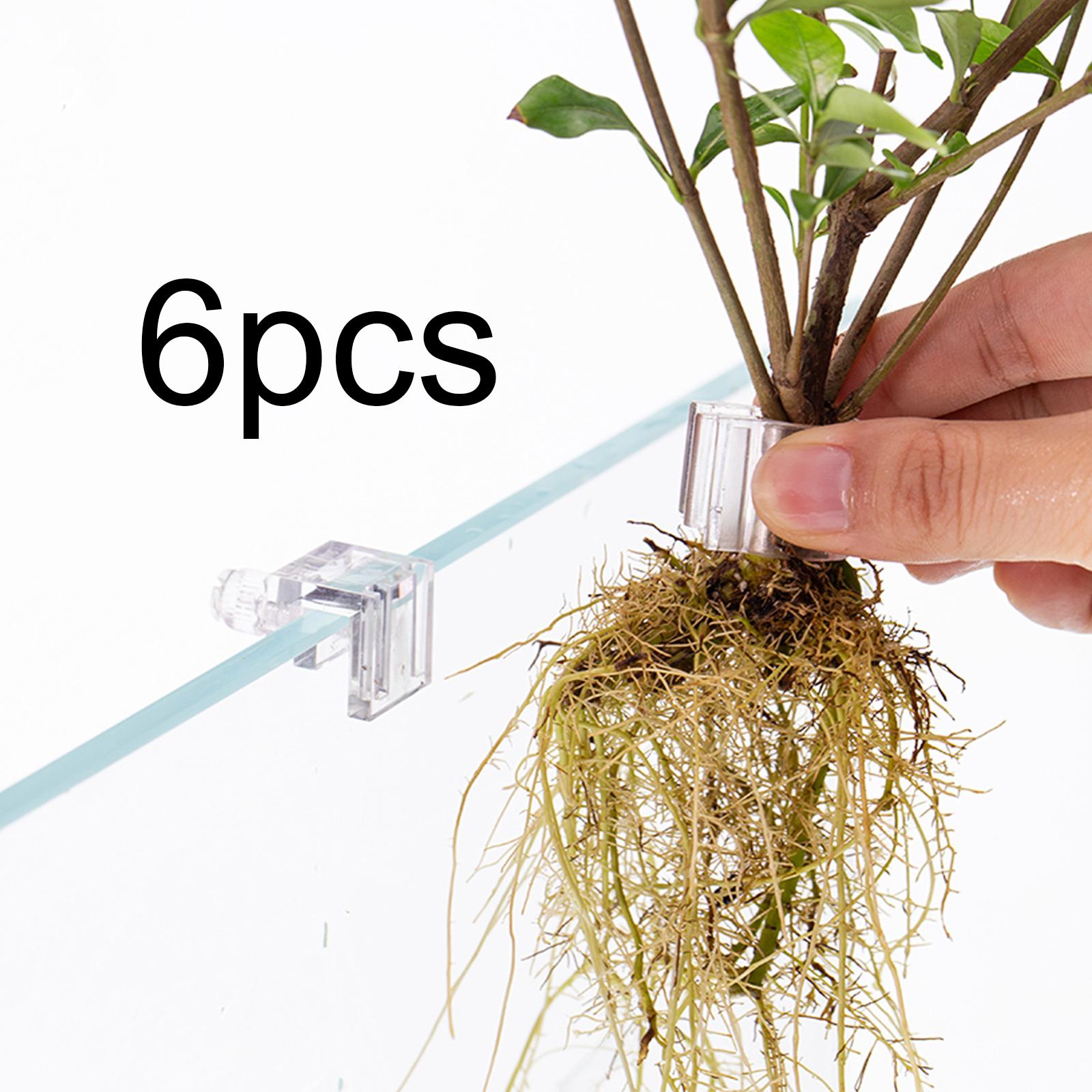 Durable Transparent Plant Hold - Aquarium Planted Wall review and price