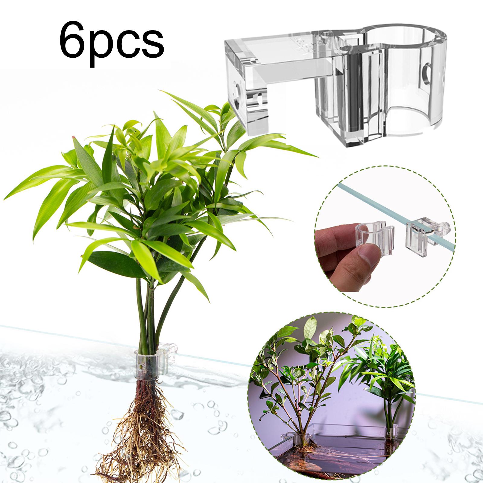Durable Transparent Plant Hold - Aquarium Planted Wall review and price