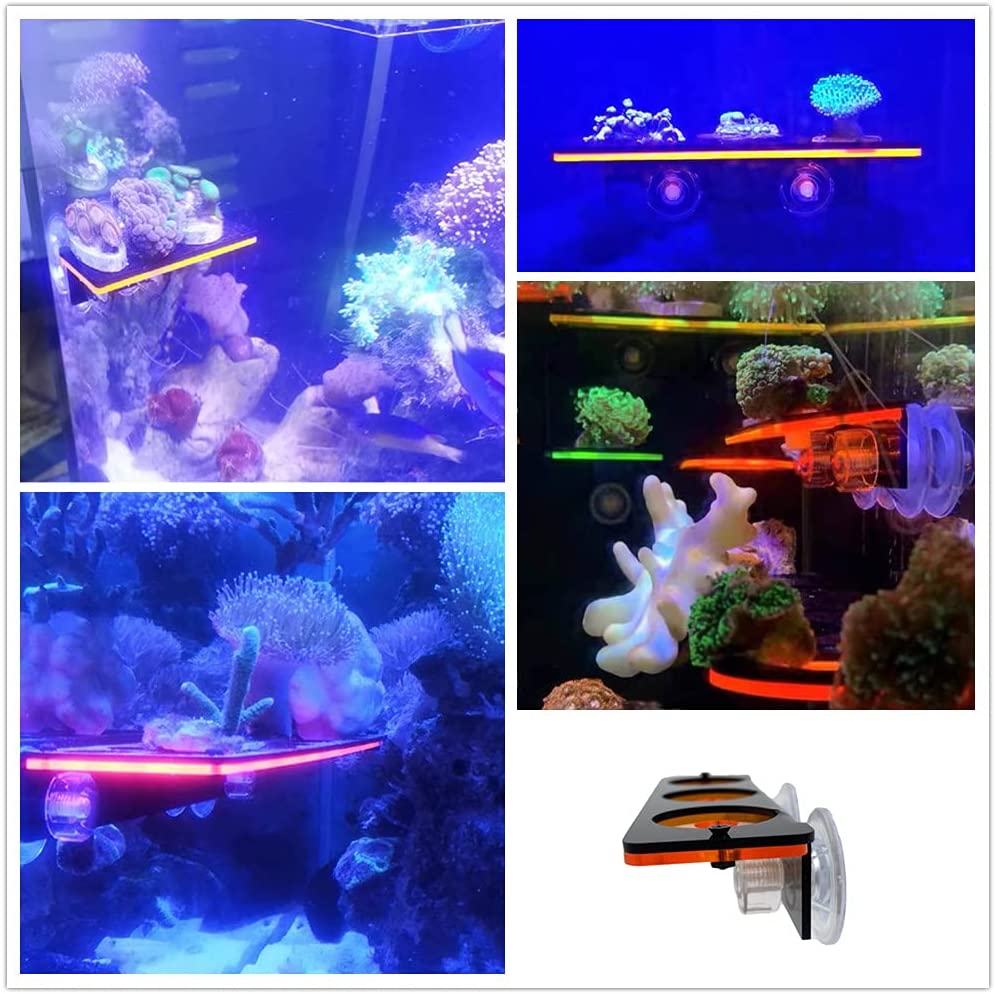Fluorescent Coral Frag Plug Br - Aquarium Plant Holder review and price
