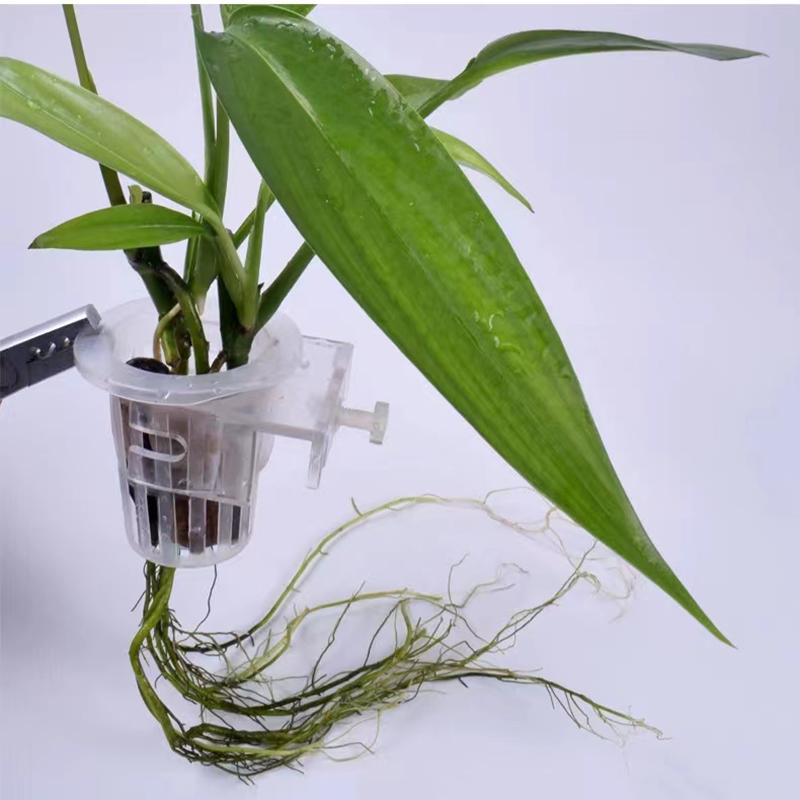 Aquarium Planting Basket Hydro - Aquarium Planted Wall review and price