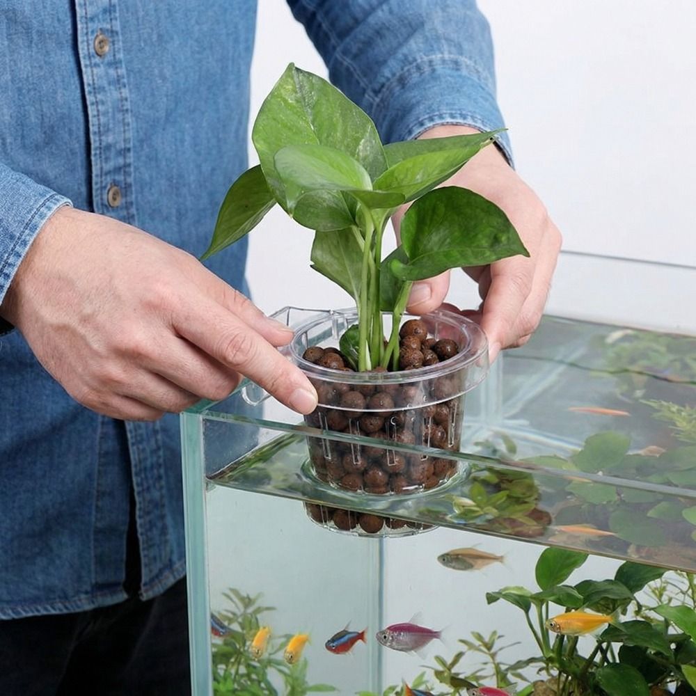 Transparent Fish Tank Grass Cu - Aquarium Planted Wall review and price
