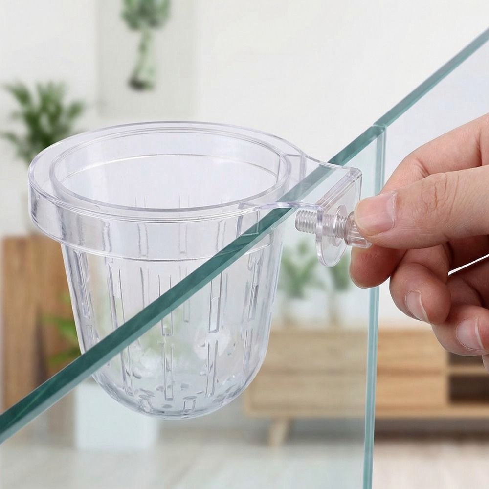 Transparent Fish Tank Grass Cu - Aquarium Planted Wall review and price