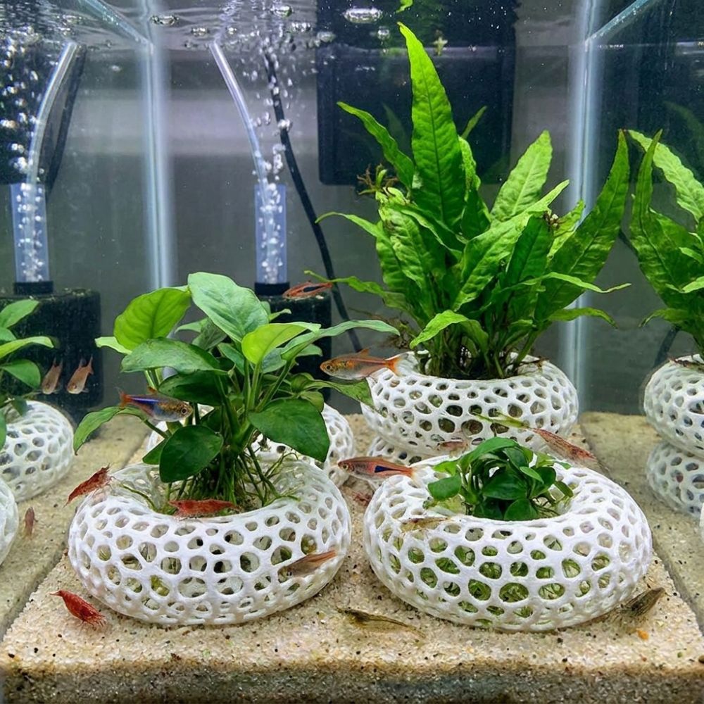 3D Printed Fish Shrimp Hiding  - Planted Aquarium Moss review and price