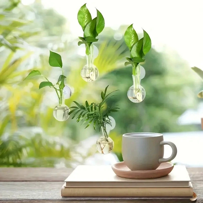 Creative Semi Circular Class W - Aquarium Planted Wall review and price